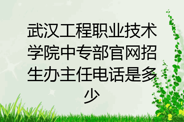 武汉工程职业技术学院中专部官网招生办主任电话是多少