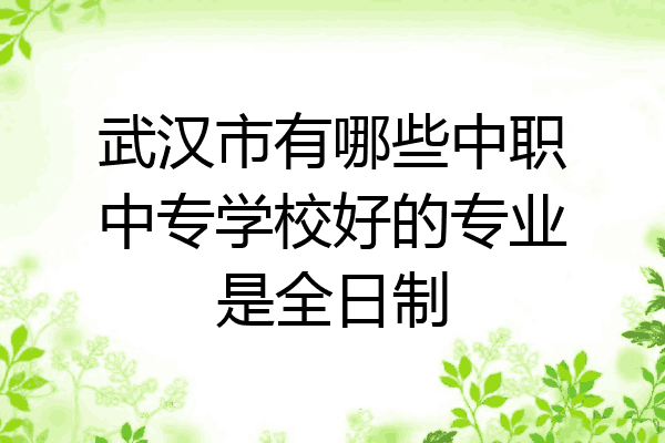 武汉市有哪些中职中专学校好的专业是全日制