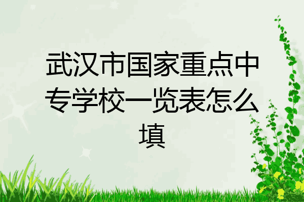 武汉市国家重点中专学校一览表怎么填