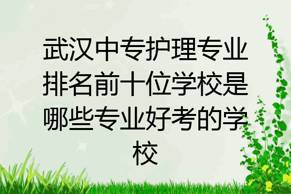 武汉中专护理专业排名前十位学校是哪些专业好考的学校