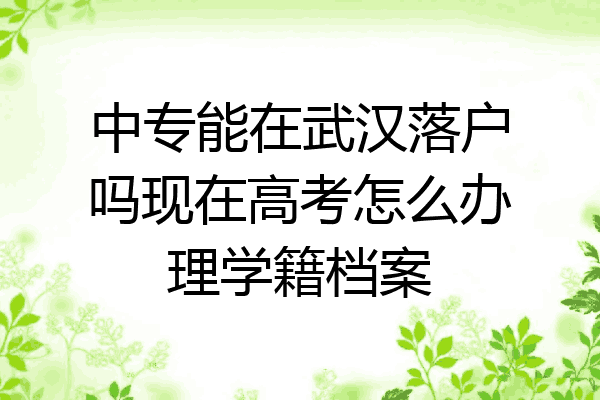 中专能在武汉落户吗现在高考怎么办理学籍档案