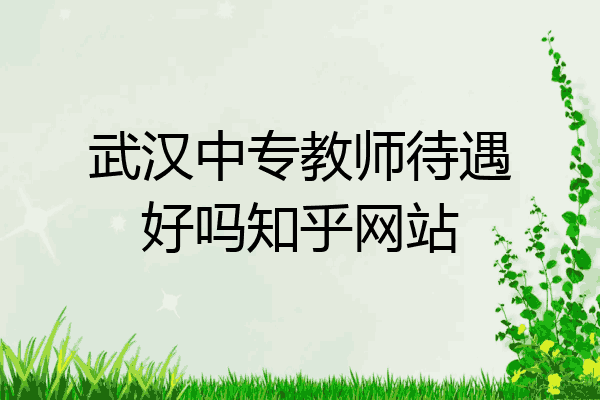 武汉中专教师待遇好吗知乎网站