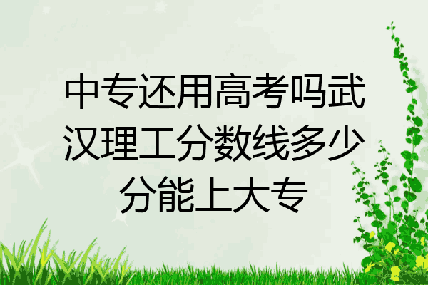 中专还用高考吗武汉理工分数线多少分能上大专