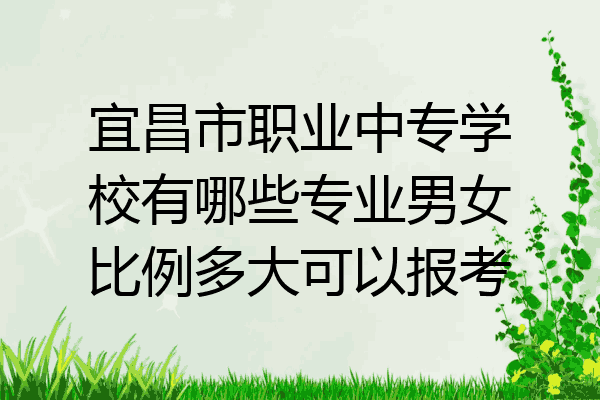 宜昌市职业中专学校有哪些专业男女比例多大可以报考