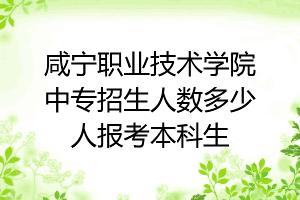咸宁职业技术学院中专招生人数多少人报考本科生