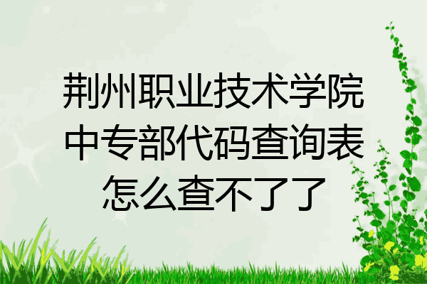 荆州职业技术学院中专部代码查询表怎么查不了了