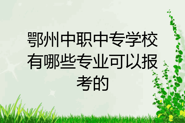 鄂州中职中专学校有哪些专业可以报考的
