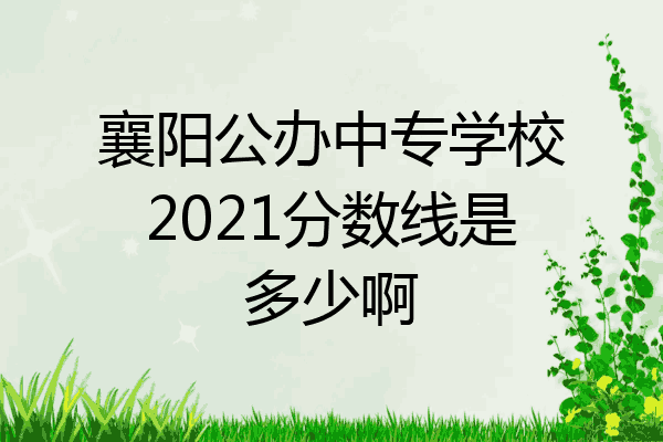 襄阳公办中专学校2021分数线是多少啊