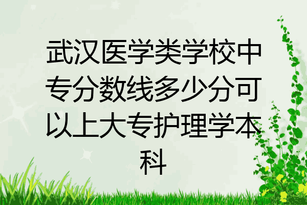 武汉医学类学校中专分数线多少分可以上大专护理学本科