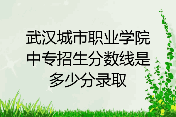 武汉城市职业学院中专招生分数线是多少分录取