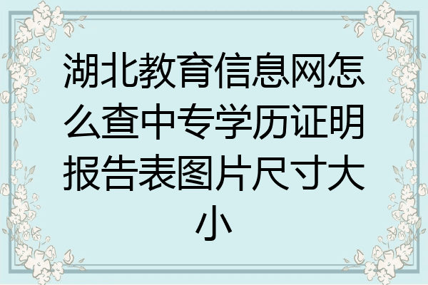 湖北教育信息网怎么查中专学历证明报告表图片尺寸大小