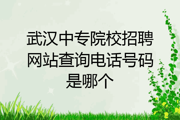 武汉中专院校招聘网站查询电话号码是哪个