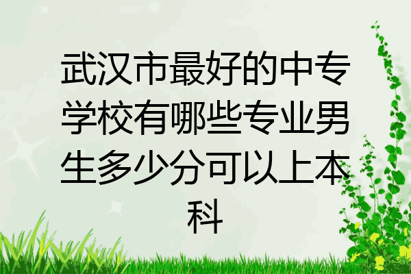 武汉市最好的中专学校有哪些专业男生多少分可以上本科