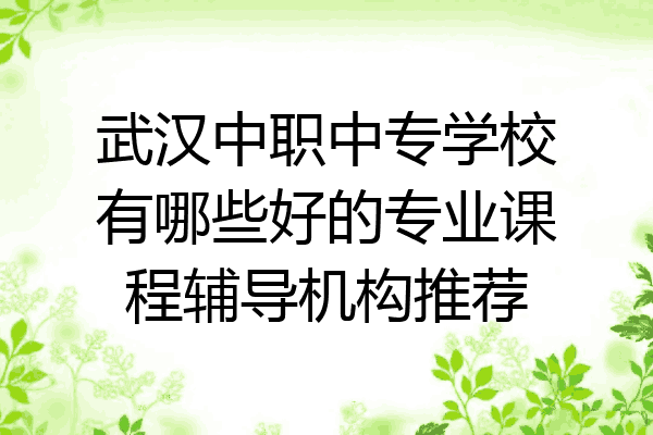 武汉中职中专学校有哪些好的专业课程辅导机构推荐