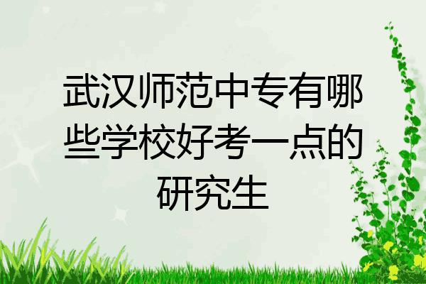 武汉师范中专有哪些学校好考一点的研究生