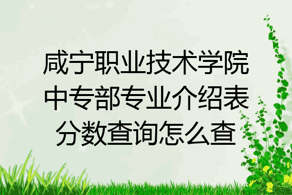 咸宁职业技术学院中专部专业介绍表分数查询怎么查