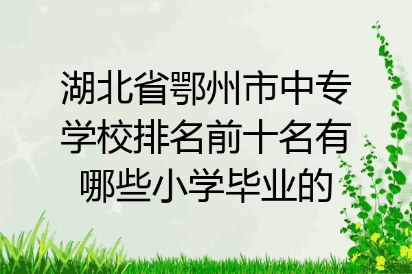 湖北省鄂州市中专学校排名前十名有哪些小学毕业的
