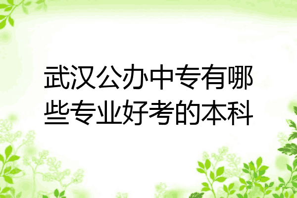 武汉公办中专有哪些专业好考的本科