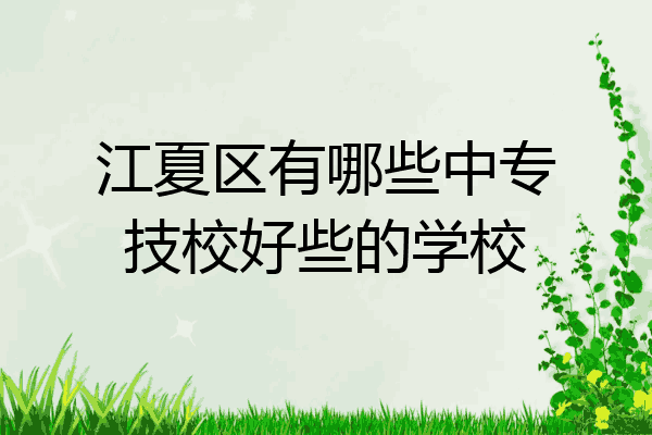 江夏区有哪些中专技校好些的学校