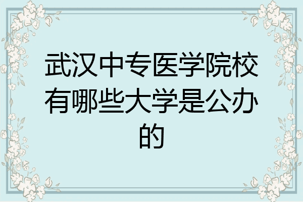 武汉中专医学院校有哪些大学是公办的