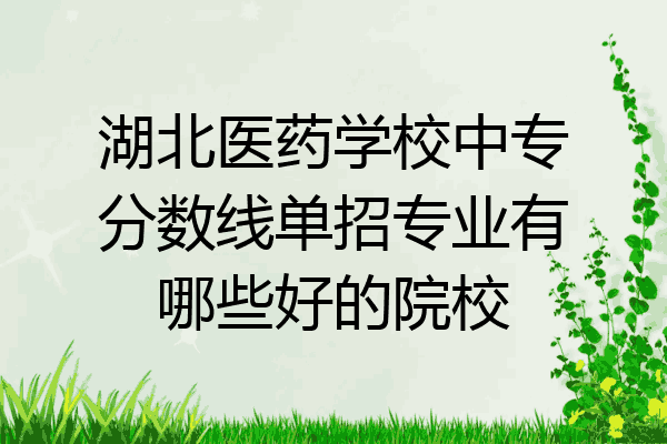 湖北医药学校中专分数线单招专业有哪些好的院校