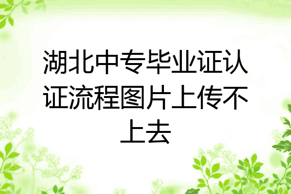 湖北中专毕业证认证流程图片上传不上去