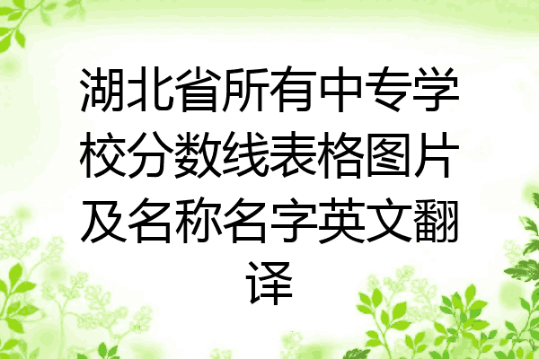 湖北省所有中专学校分数线表格图片及名称名字英文翻译