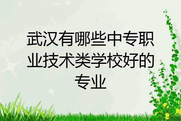 武汉有哪些中专职业技术类学校好的专业