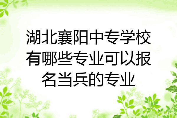 湖北襄阳中专学校有哪些专业可以报名当兵的专业