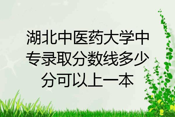湖北中医药大学中专录取分数线多少分可以上一本