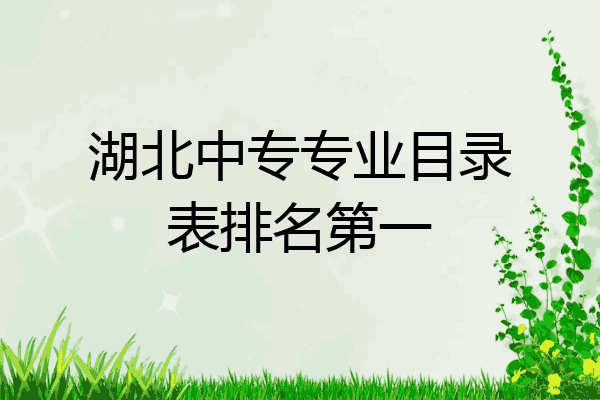 湖北中专专业目录表排名第一