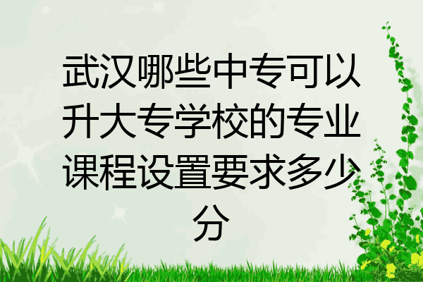 武汉哪些中专可以升大专学校的专业课程设置要求多少分