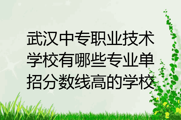 武汉中专职业技术学校有哪些专业单招分数线高的学校