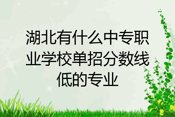 湖北有什么中专职业学校单招分数线低的专业