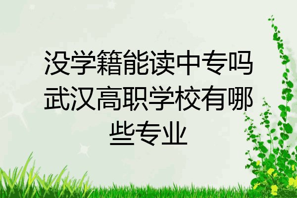 没学籍能读中专吗武汉高职学校有哪些专业