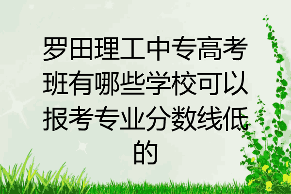 罗田理工中专高考班有哪些学校可以报考专业分数线低的