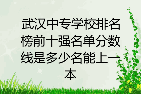 武汉中专学校排名榜前十强名单分数线是多少名能上一本