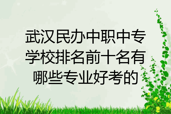 武汉民办中职中专学校排名前十名有哪些专业好考的