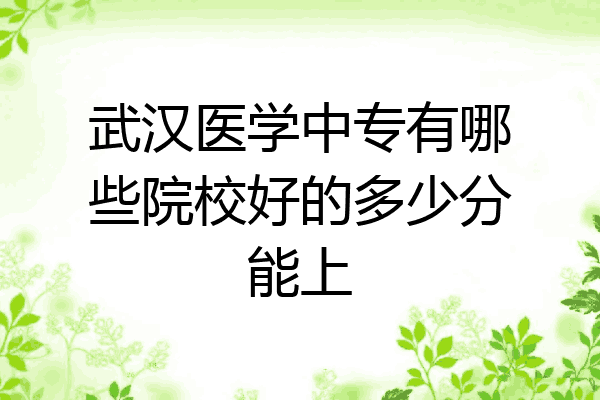 武汉医学中专有哪些院校好的多少分能上