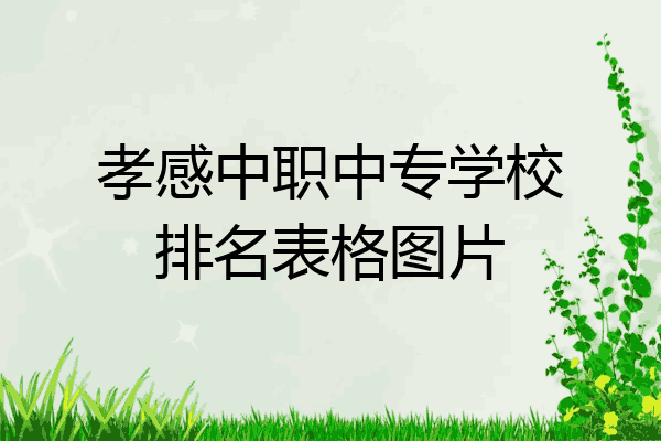 孝感中职中专学校排名表格图片