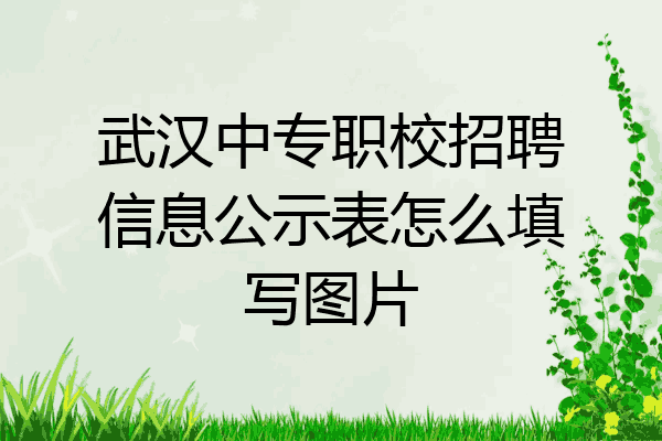 武汉中专职校招聘信息公示表怎么填写图片