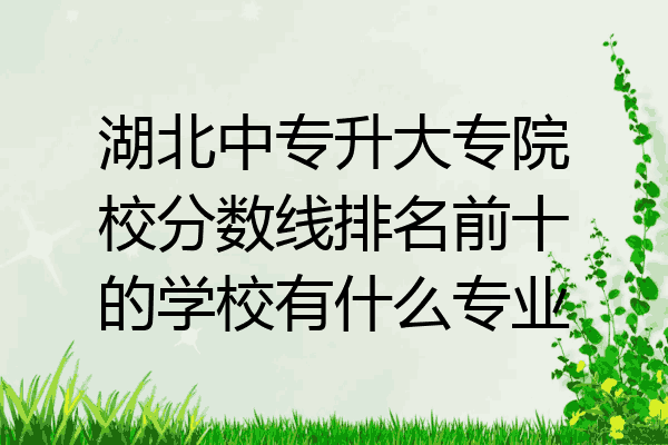 湖北中专升大专院校分数线排名前十的学校有什么专业