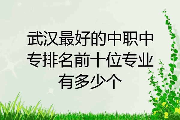 武汉最好的中职中专排名前十位专业有多少个