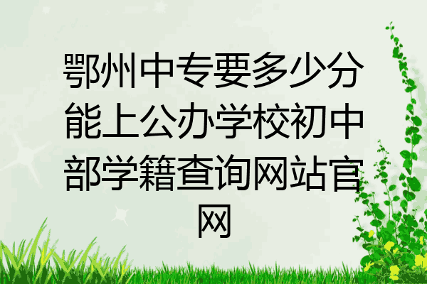 鄂州中专要多少分能上公办学校初中部学籍查询网站官网