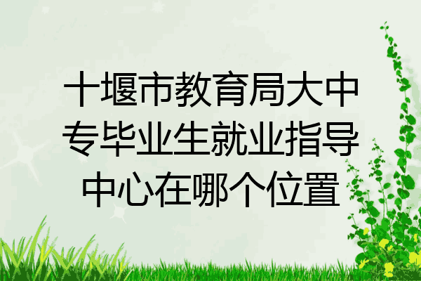 十堰市教育局大中专毕业生就业指导中心在哪个位置