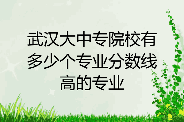 武汉大中专院校有多少个专业分数线高的专业