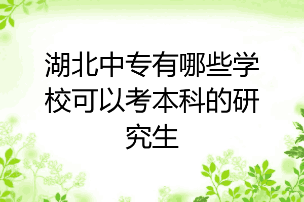 湖北中专有哪些学校可以考本科的研究生