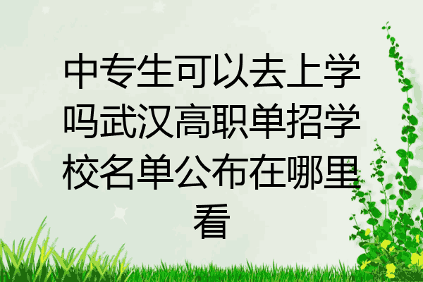 中专生可以去上学吗武汉高职单招学校名单公布在哪里看
