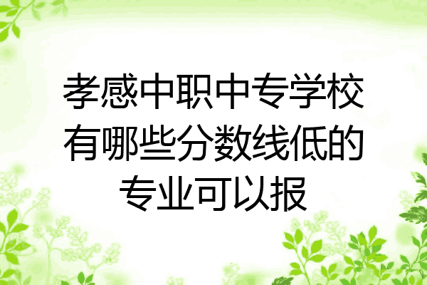 孝感中职中专学校有哪些分数线低的专业可以报
