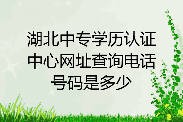 湖北中专学历认证中心网址查询电话号码是多少